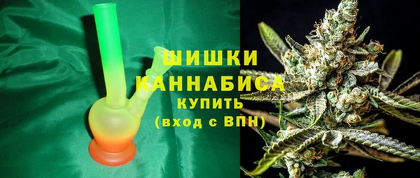 дмт Мегион