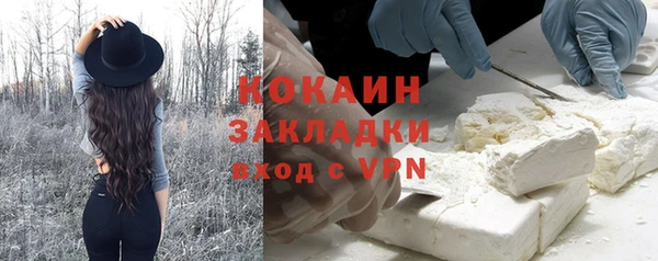 дмт Мегион